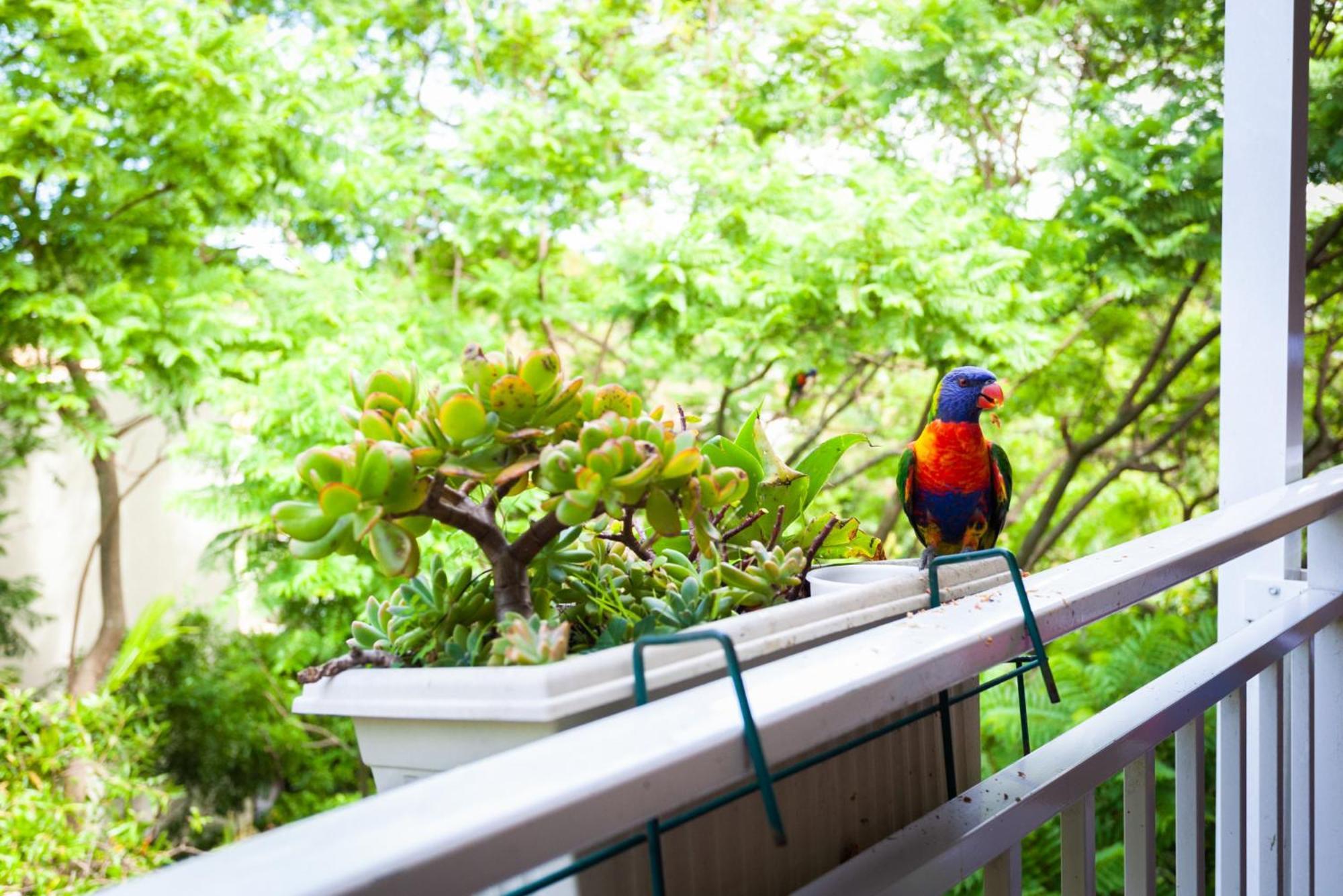Appartamento Treetop Retreat Five Minute Stroll To The